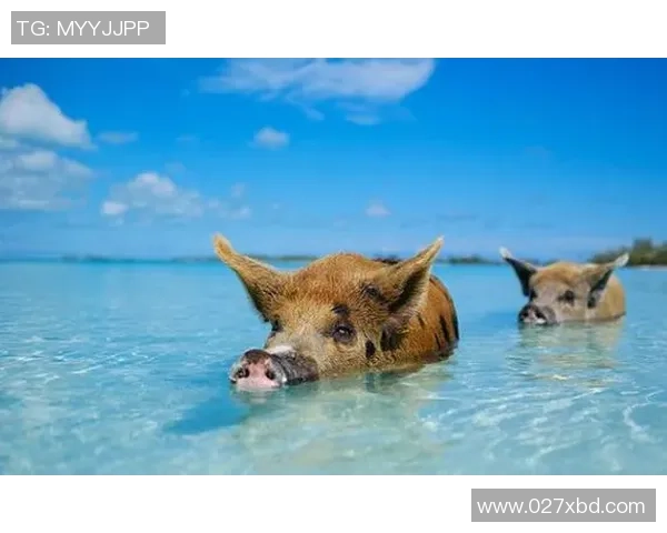 阿根廷球星谷地：探索足球天堂背后的传奇与崛起之路